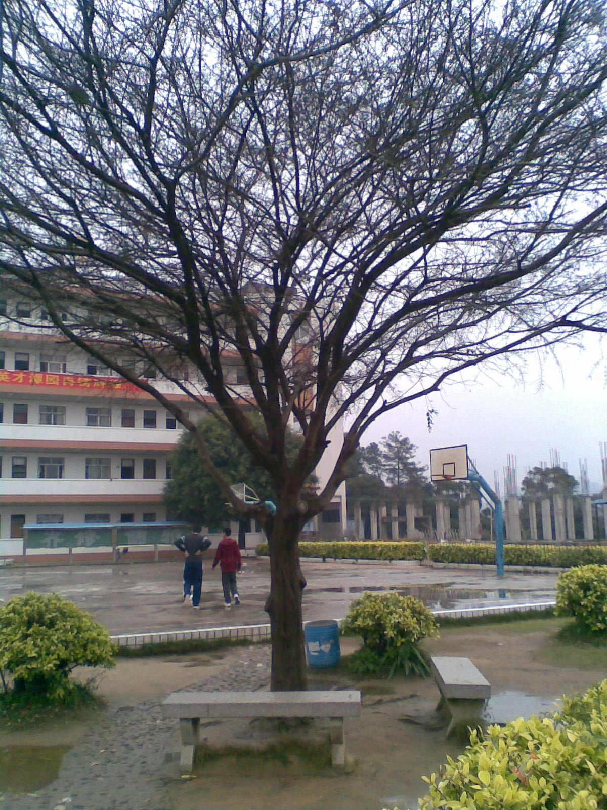 陆丰市东海龙潭中学