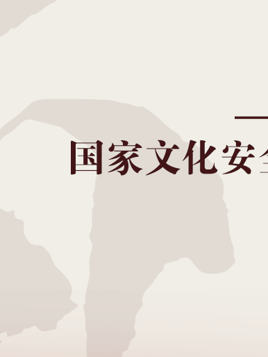 国家文化安全