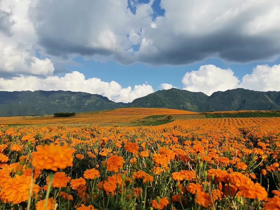 腾冲市明光镇天气预报预报
