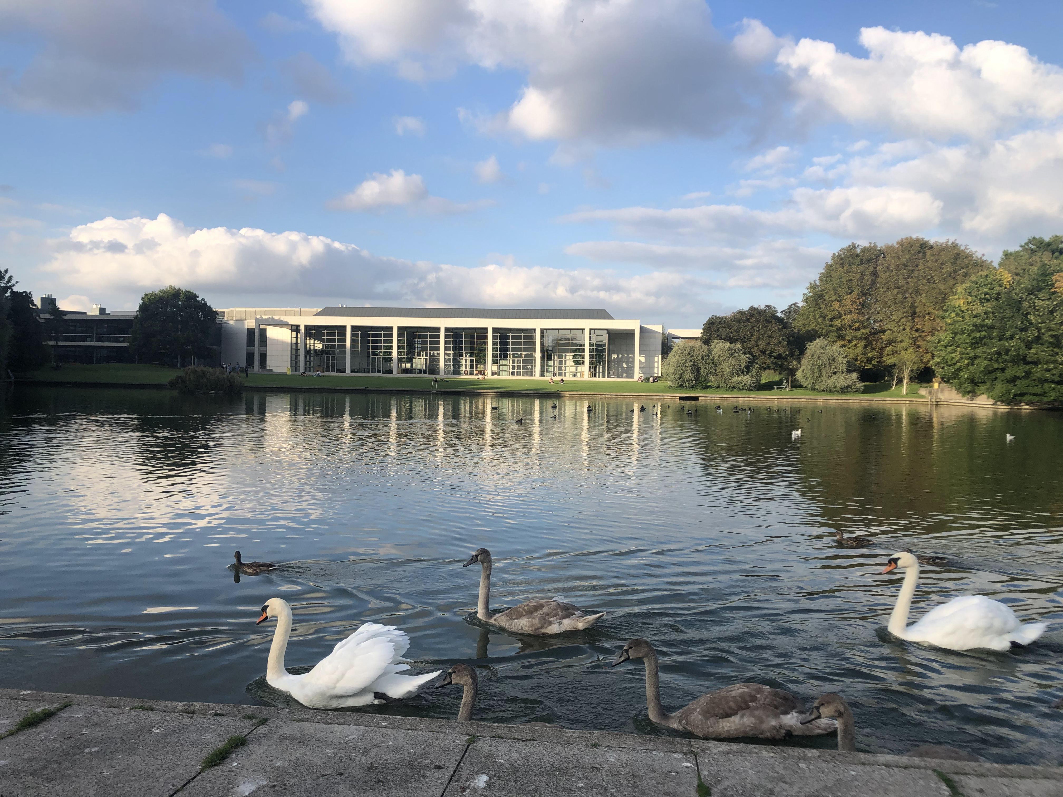 college dublin),又称爱尔兰国立大学都柏林大学学院或爱尔兰国立