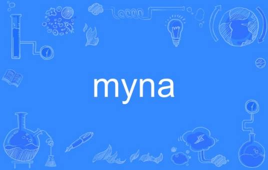 myna_百度百科