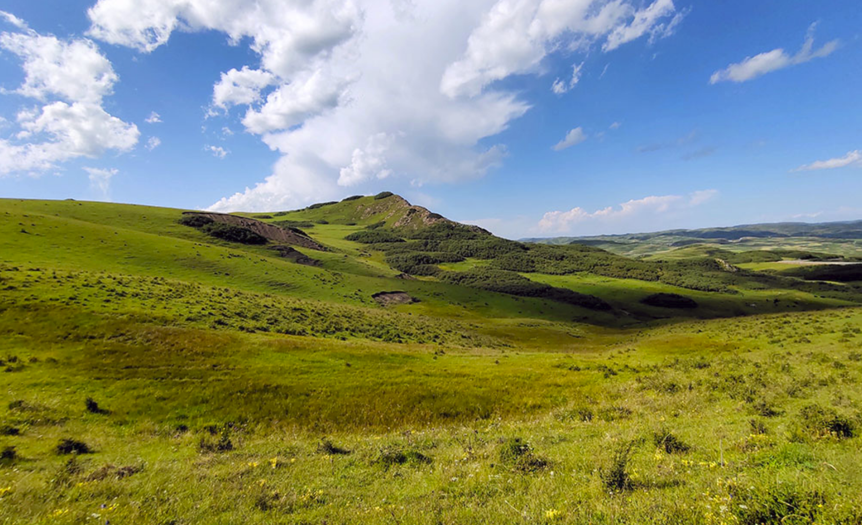  p>八力草原位于 a target="_blank" href="/item/宕昌县/4403814"