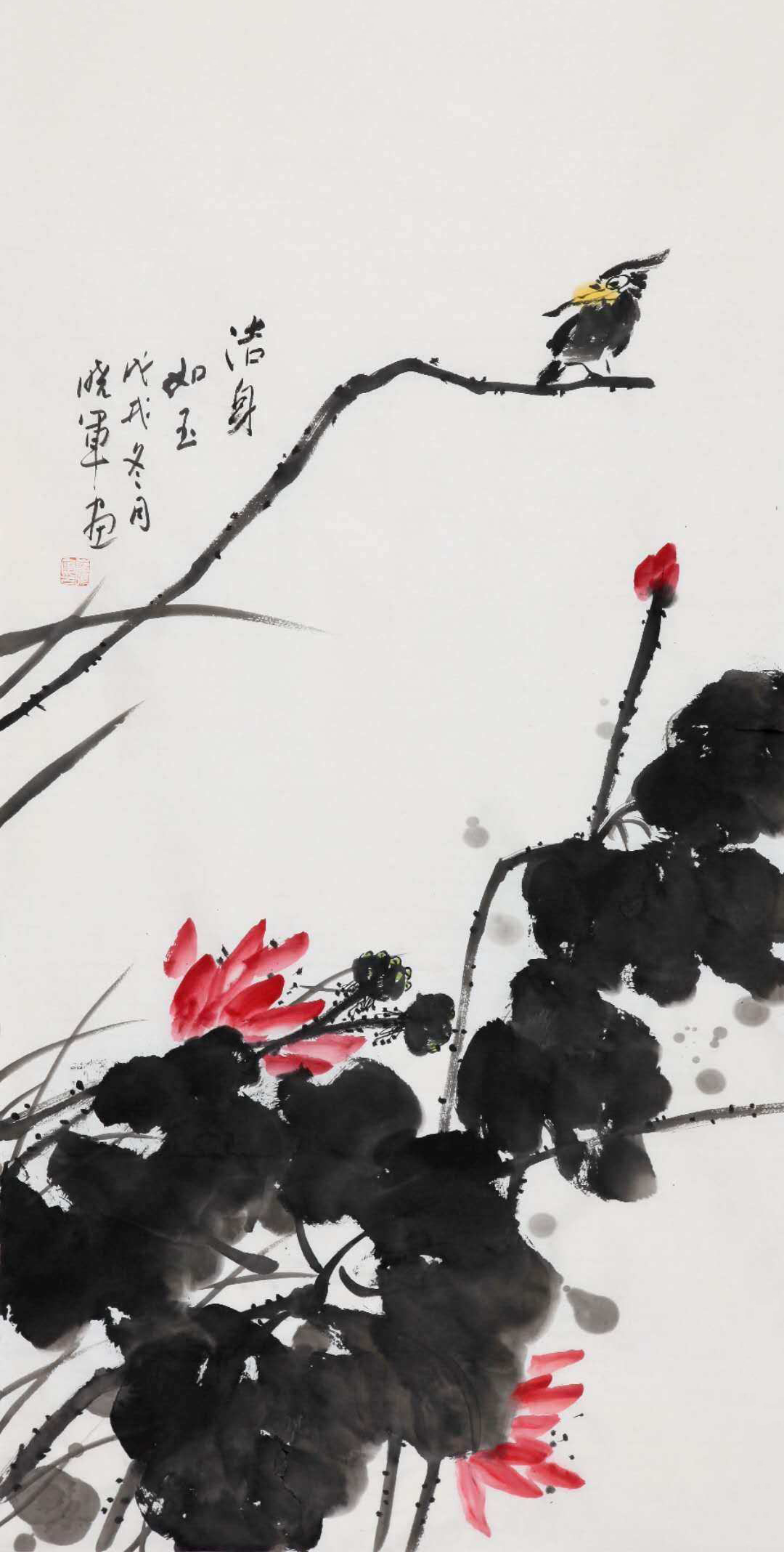 崔晓军