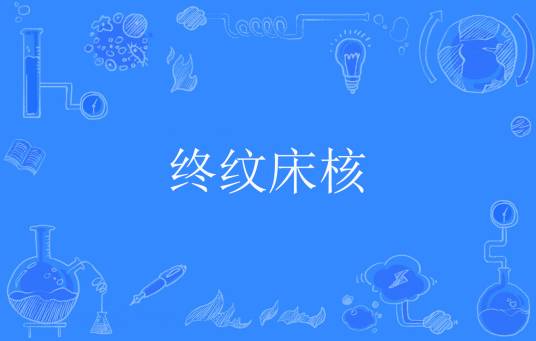 终纹床核_百度百科