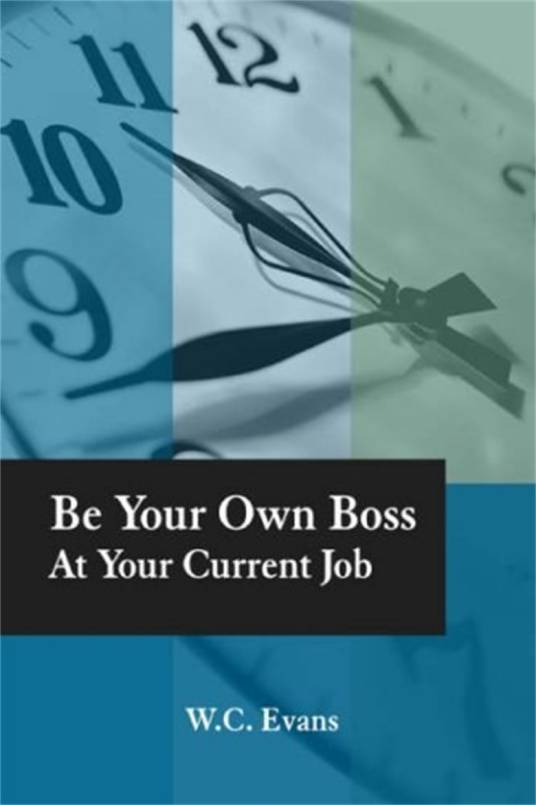 Be Your Own Boss At Your Current Job_百度百科