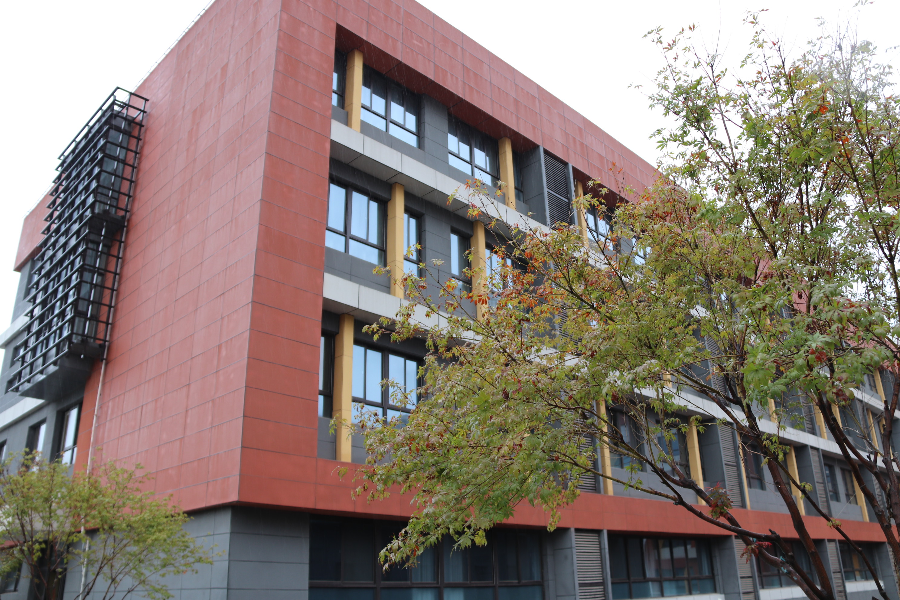 西安高新一中沣东中学