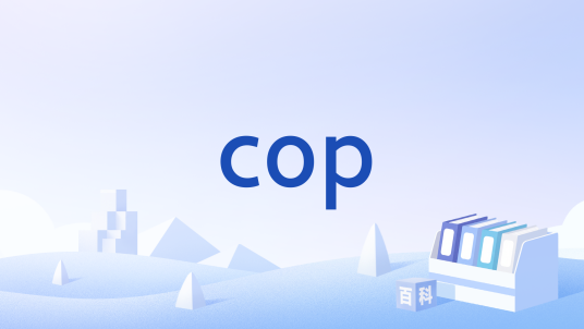 cop（美国警察）_百度百科