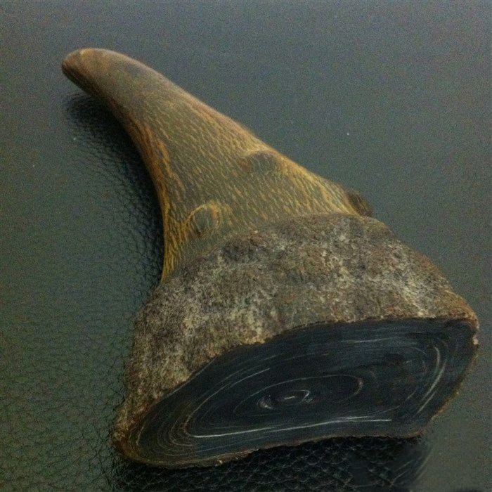  p>犀角散,主要成份为 a target="_blank" href=