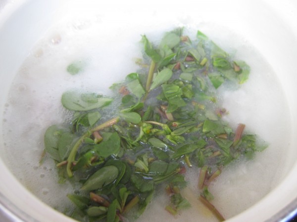 苋子粥