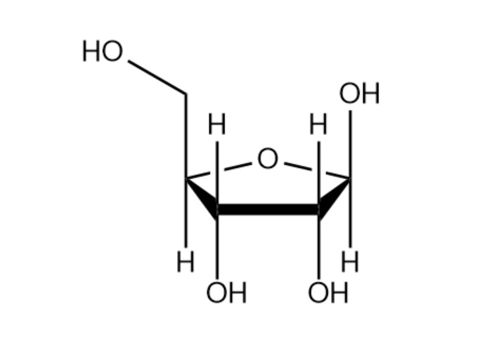  p data-id="sd6kelw0djsv">核糖( a target="_blank" href="/item