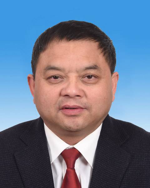 杨峰（吉安市红十字会党组书记、常务副会长）_百度百科