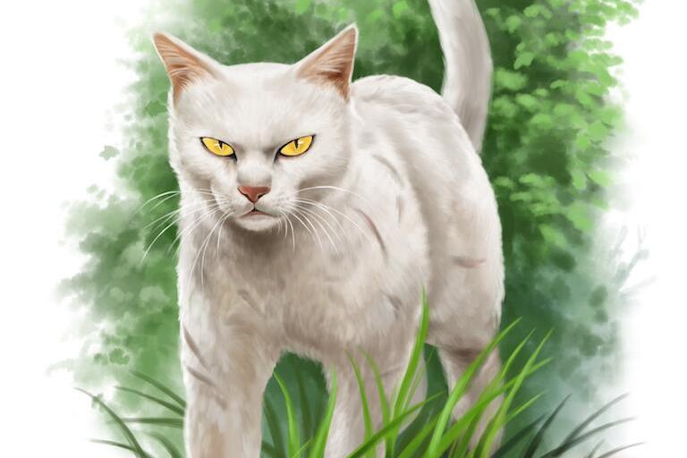 b">黑星,英国小说《 a target="_blank" href="/item/猫武士/4739018"