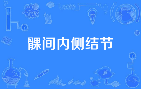 髁间内侧结节_百度百科