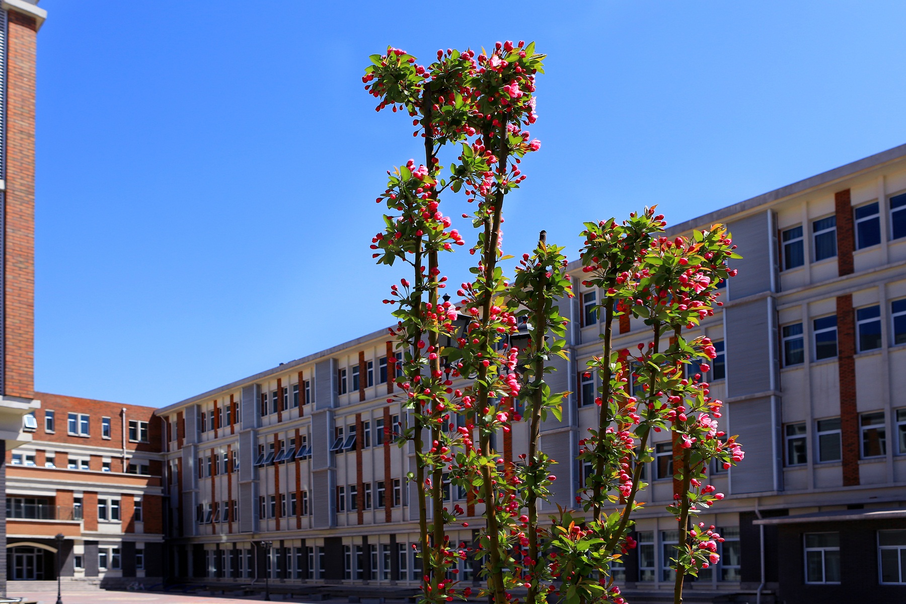  p>北京第十二中学,是 a href="#" data-lemmaid="5105030">丰台区 /a