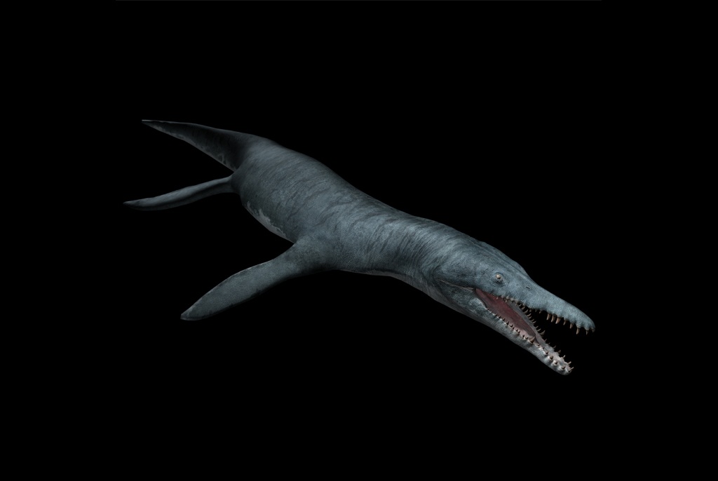  p>克柔龙(属名:kronosaurus)又名克诺龙, a href="#" data-lemmaid="