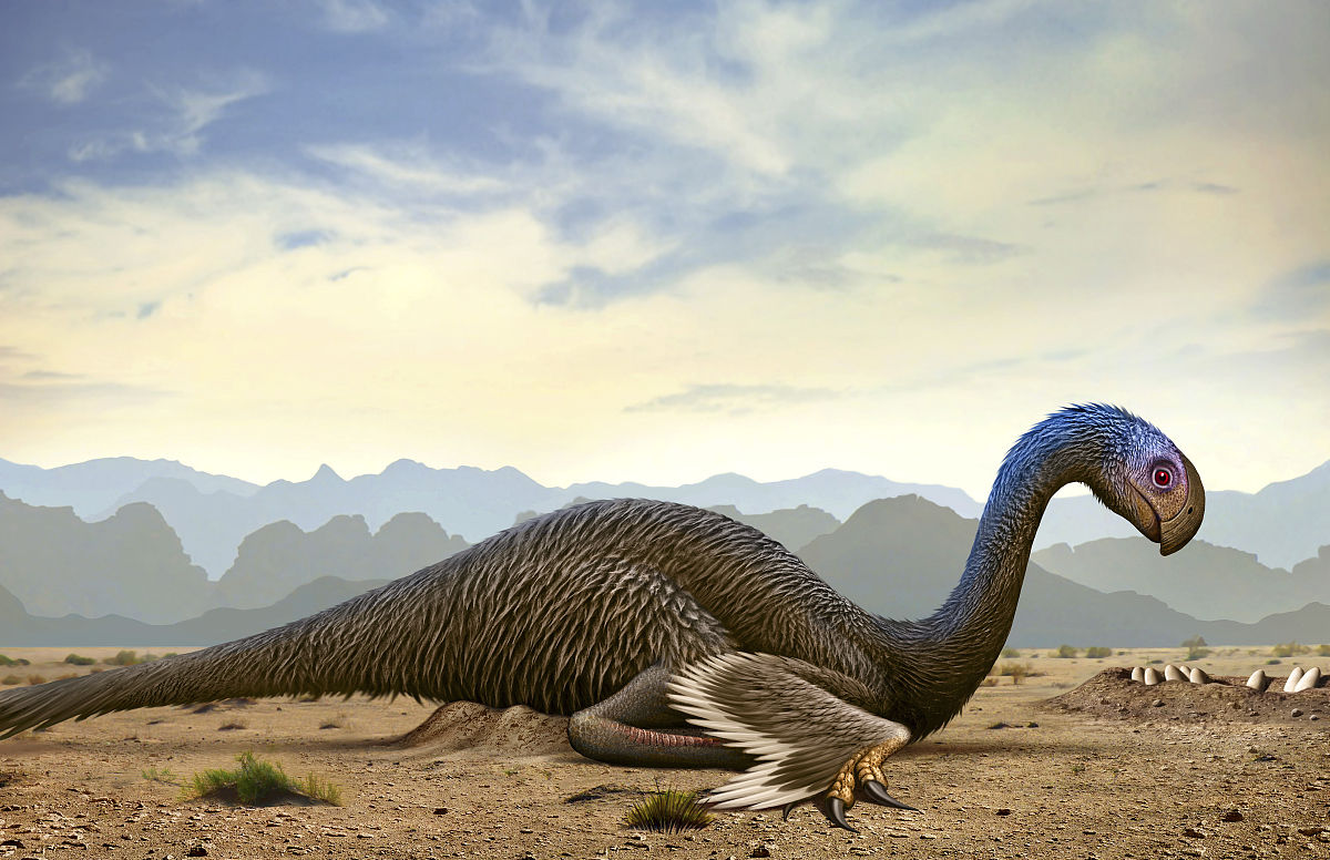  p>巨盗龙(学名gigantoraptor)是指一种近颌龙科下的一属恐龙,生活于