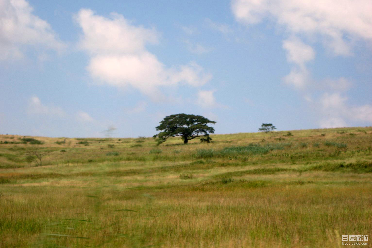  p>斯威士兰王国(英语:the kingdom of eswatini),简称斯威士兰(台译 