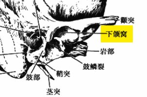 下颌窝