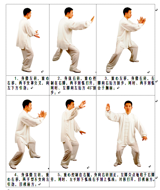  p data-id="gnbjllr8ev">白鹤亮翅,是太极招式之一.