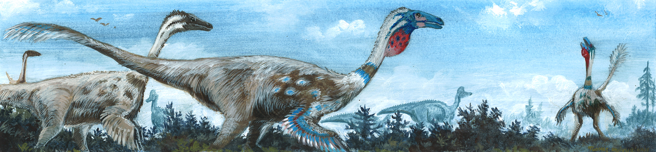  p>似鸟龙是白垩纪晚期的一种兽脚类恐龙,它们主要生活在美国,加拿大