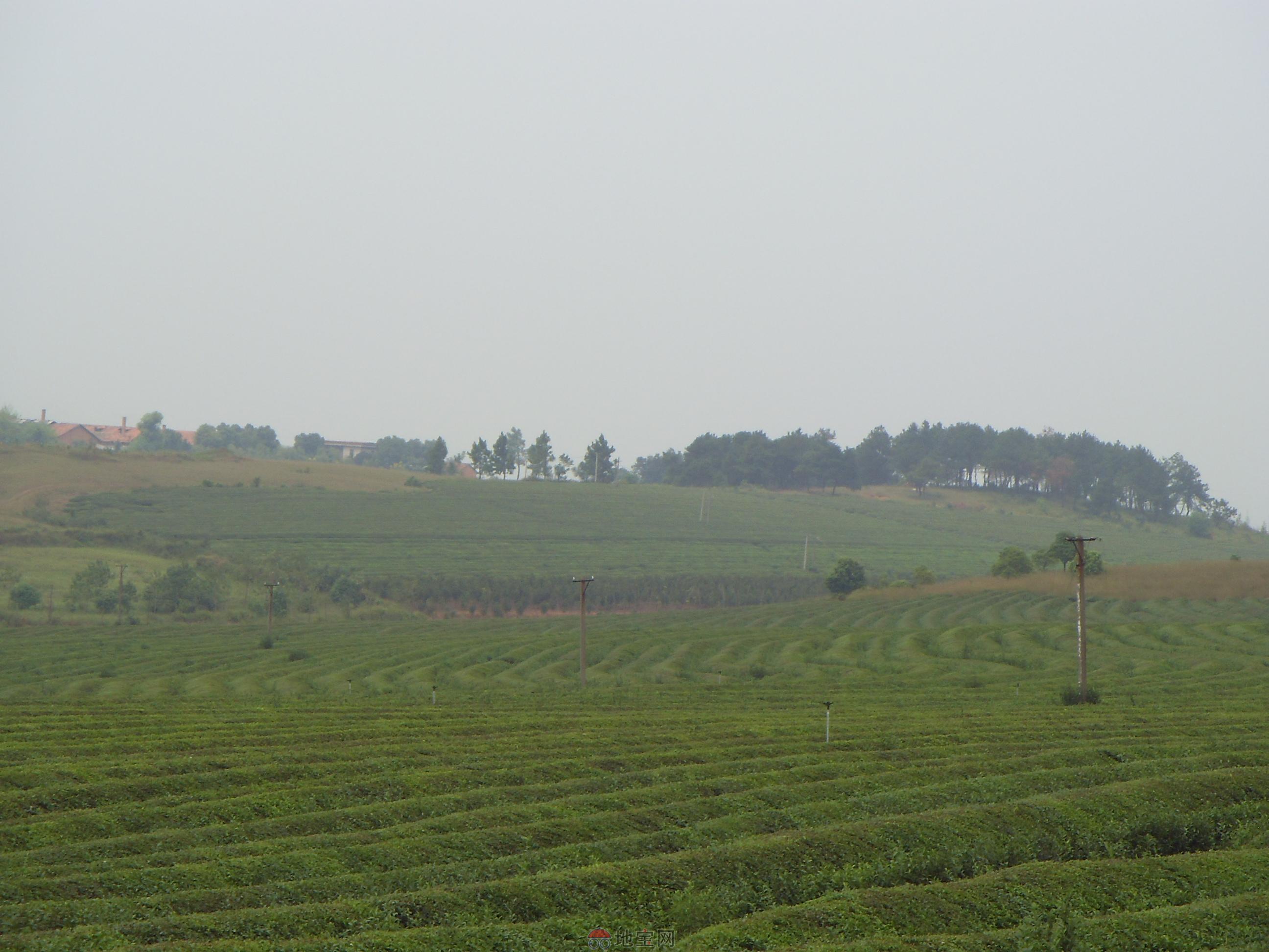 江西省凤凰沟景区