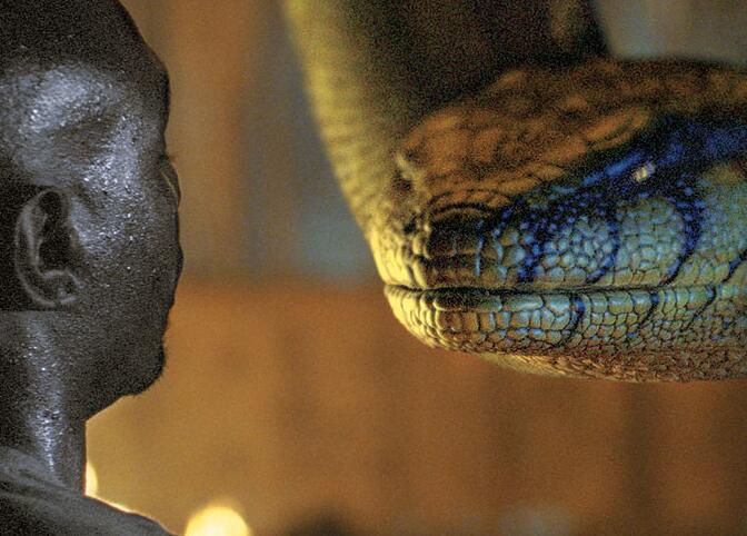  p>《狂蟒之灾2:搜寻血兰》是由 a target="_blank" href="/item