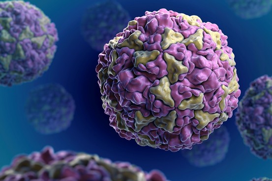  p>亚病毒(subviruses)是一类比病毒更为简单,仅具有某种核酸不具有