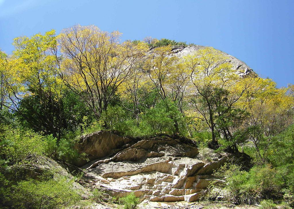 温州牛山森林公园