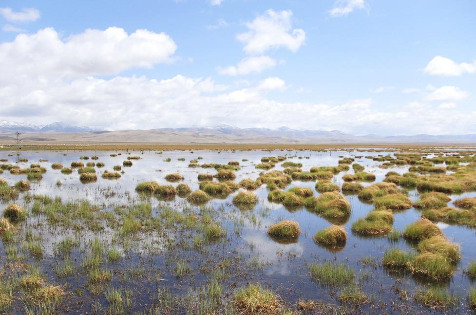 western siberian plain