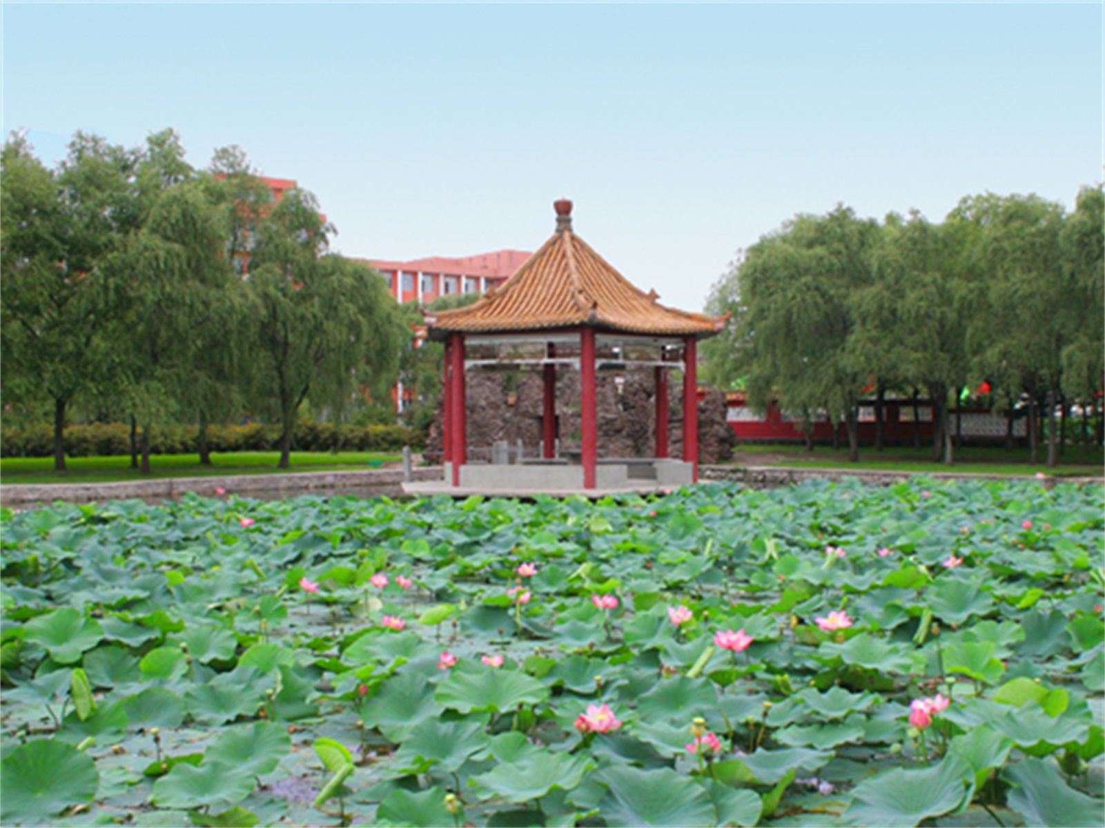  p>鹤岗师范高等专科学校是2002年3月经国家 a target="_blank" href=