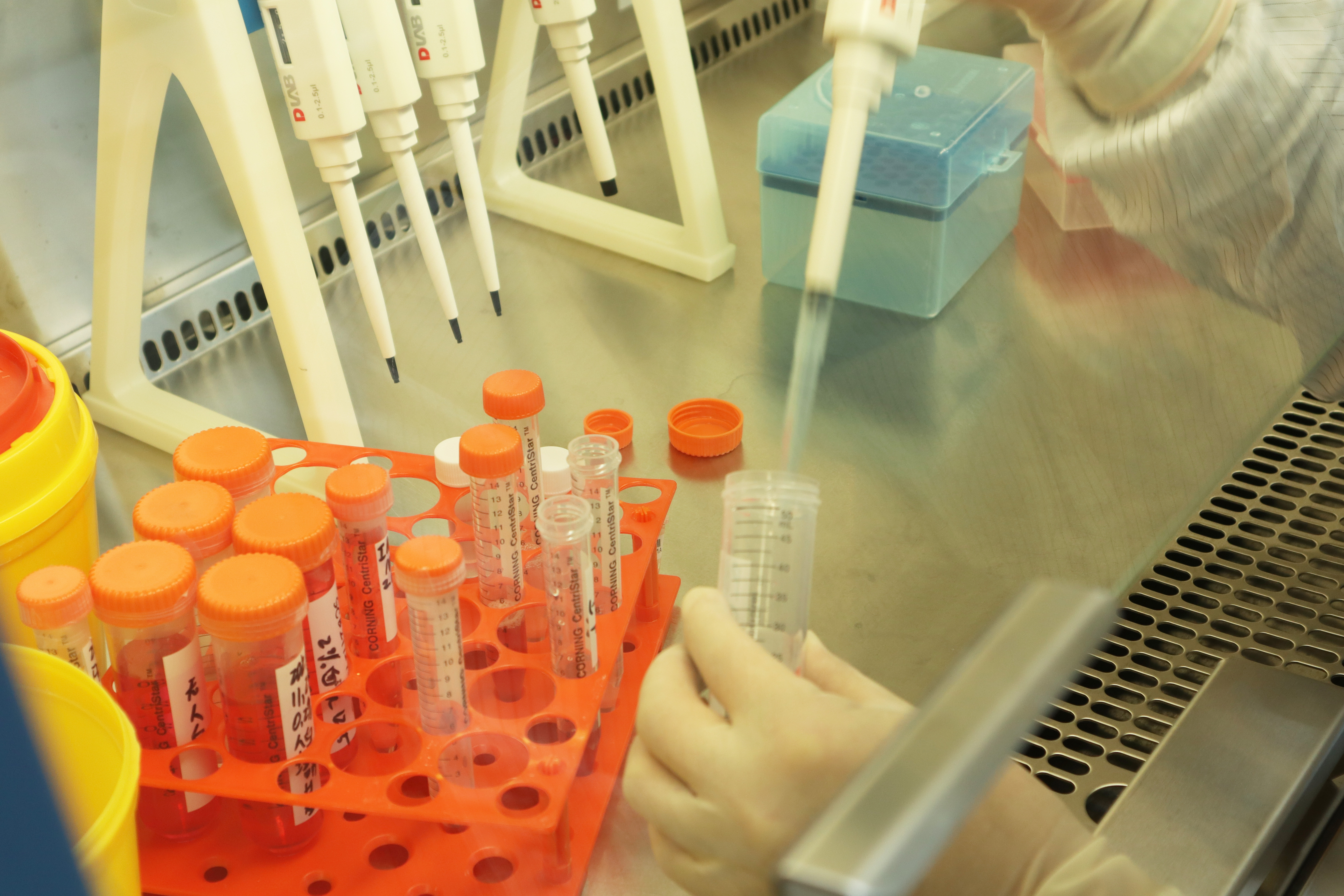 北京国卫生物科技有限公司