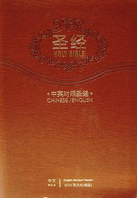《圣经holy bible》(中英
rsv皮面金边索引)