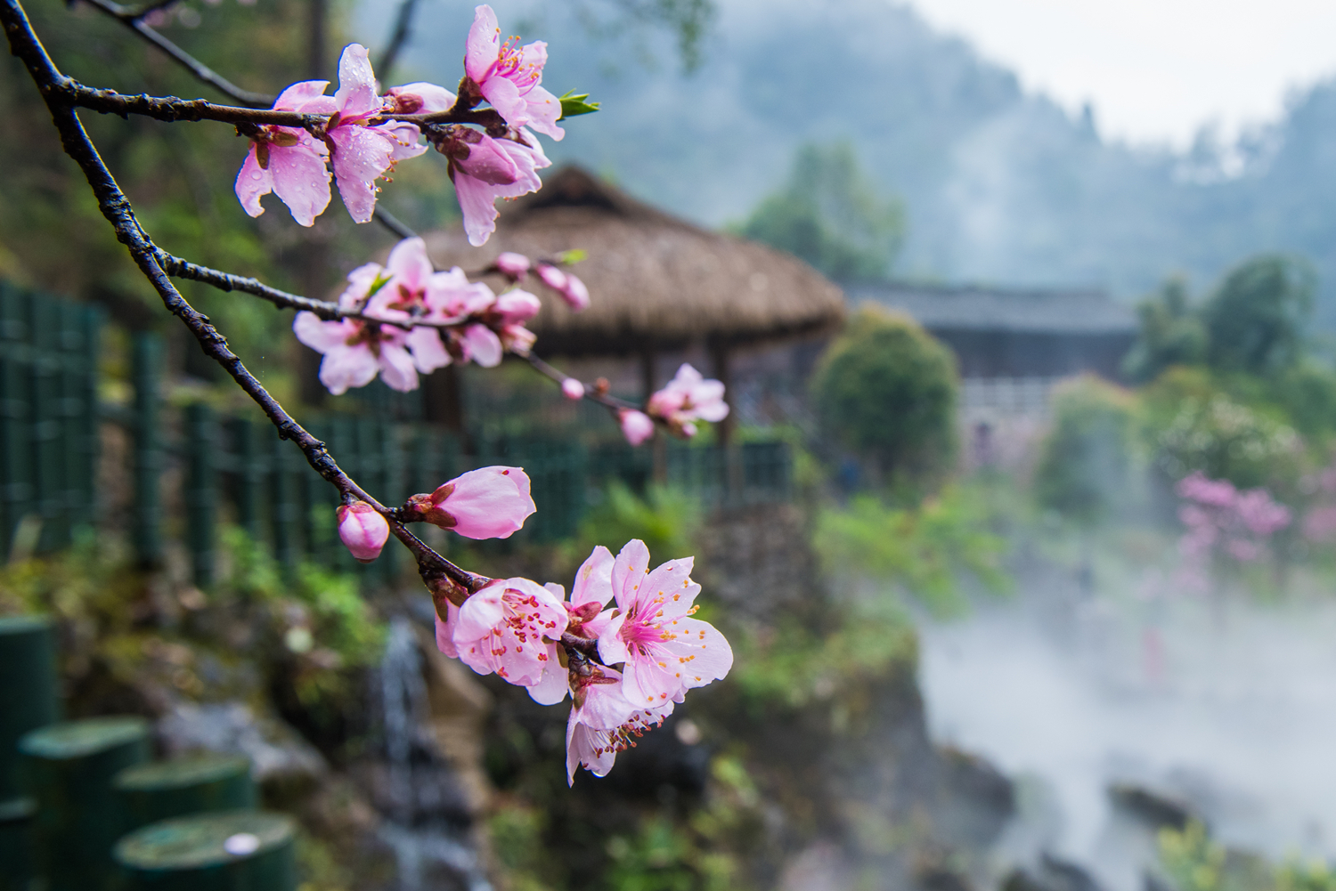 桃花源旅游景区,位于重庆市 a target="_blank" href="/item/酉阳土家