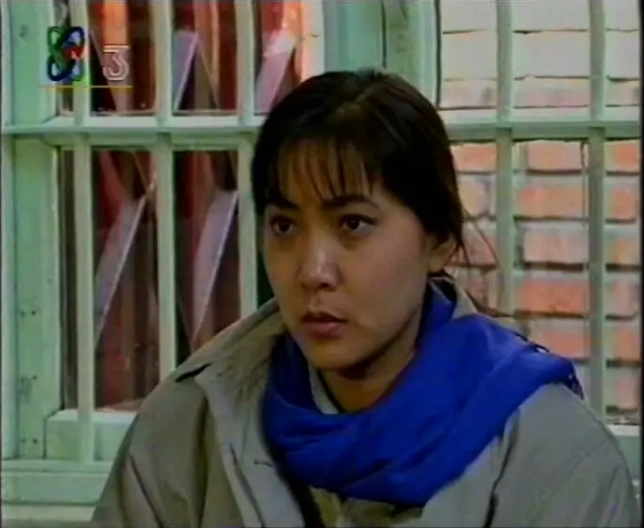 是1994年出品的一部儿童 a target="_blank" href="/item/电视剧