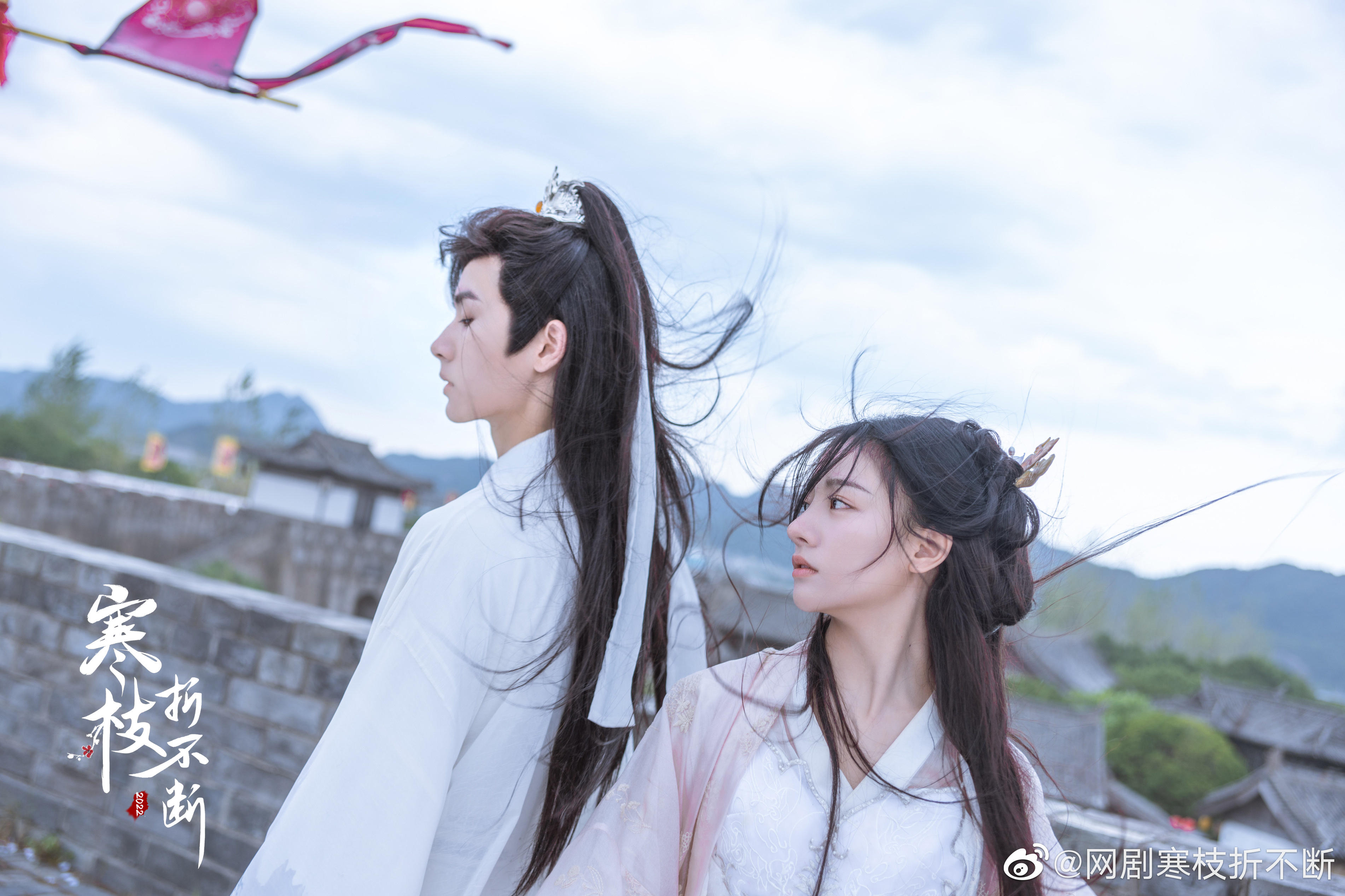 寒枝折不断