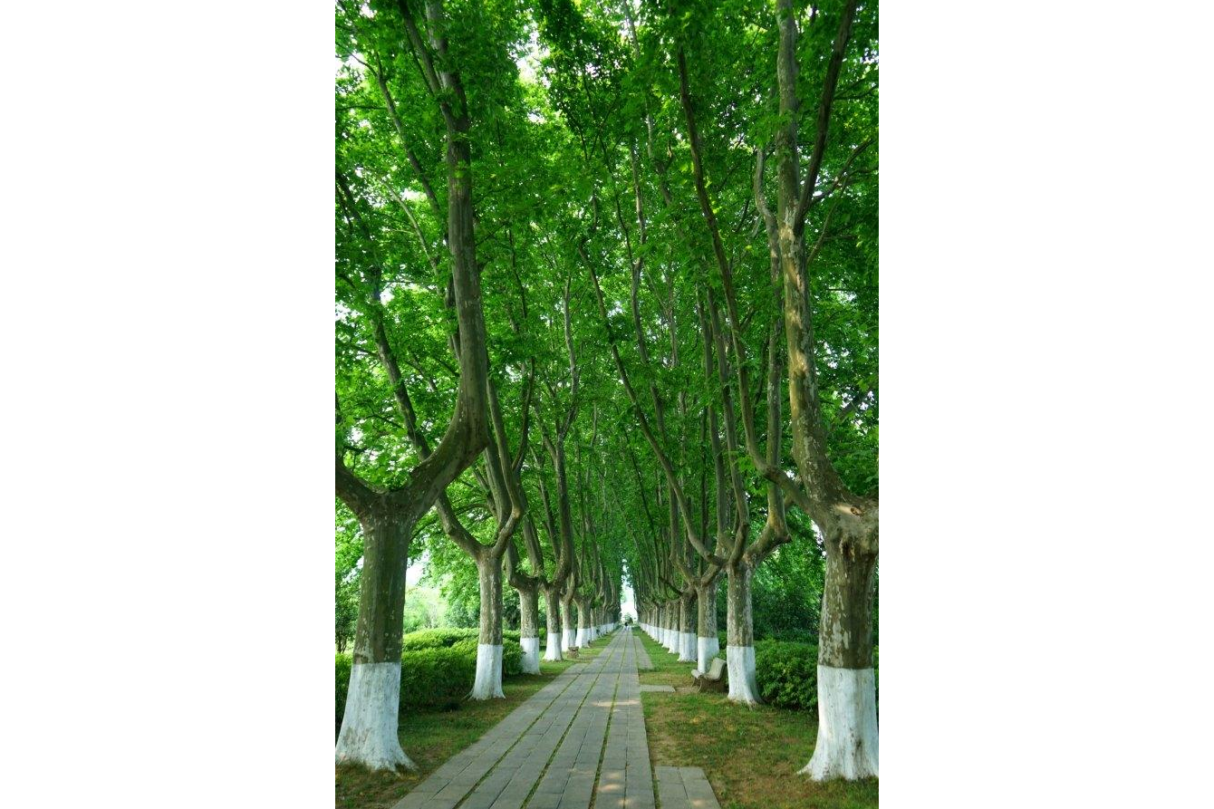 ctrid="twk9rprjihfp">1 /sup> i>, /i>是河南省郑州市的城市形象代表