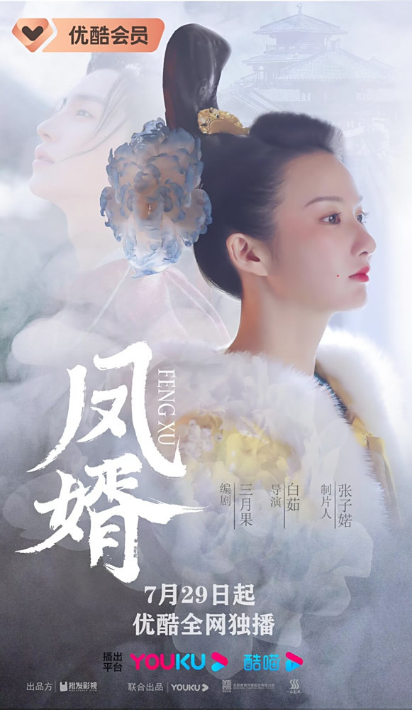 《凤婿》海报