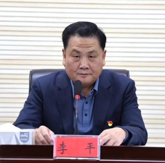 李平（湖北省委第一巡视组原组长）_百度百科