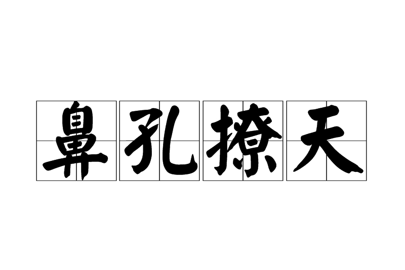 拼音是bí kǒng liáo tiān,意思是仰起头来鼻孔朝天,形容高傲自大