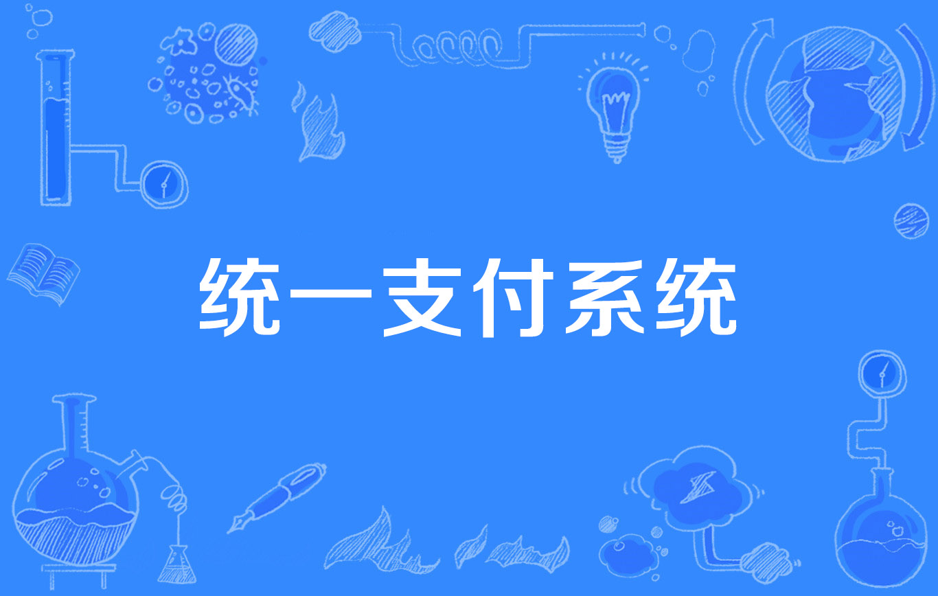 统一支付系统