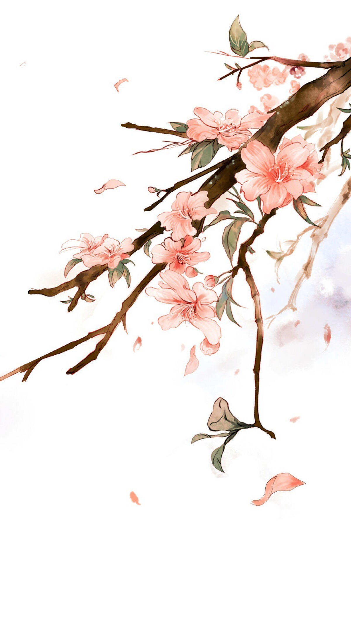 1200_2132竖版 竖屏