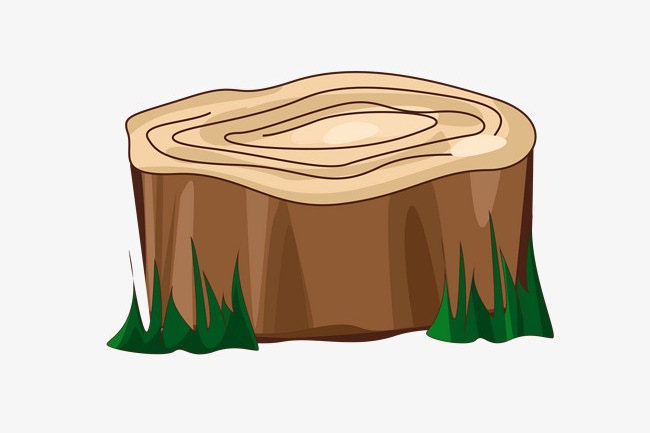 大树桩你有几岁