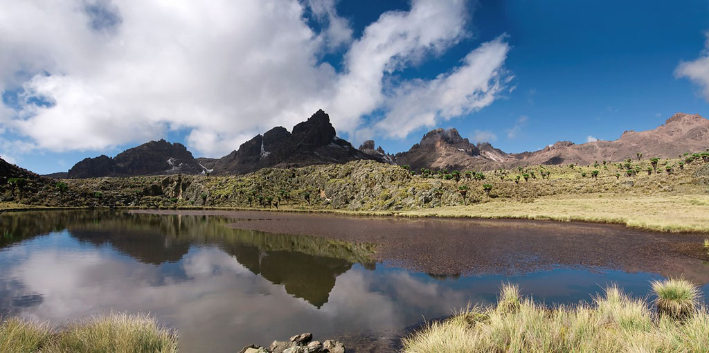  p>肯尼亚山国家公园和自然森林位于肯尼亚东部,距离首都内罗毕东北