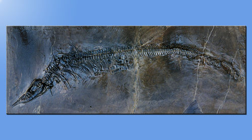  p>关岭生物群(guanling biota)位于 a href="#" data-lemmaid="37015