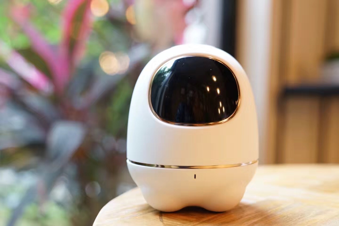 阿尔法蛋机器人 全网资源