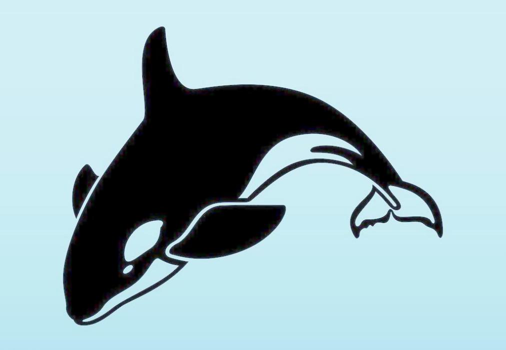 水生動物 百度百科