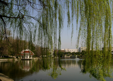 屯溪路校区