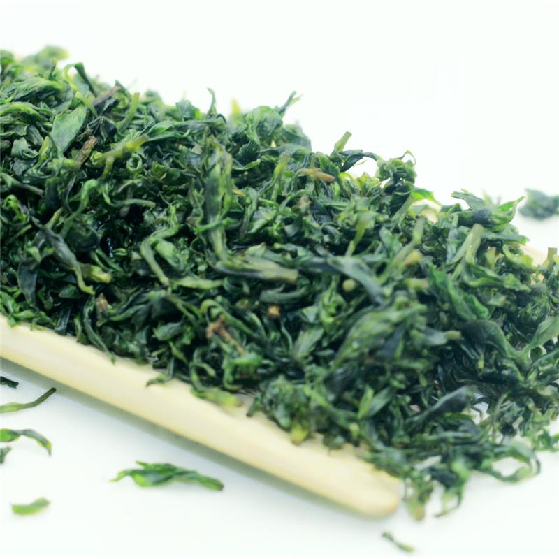 毛冬青茶