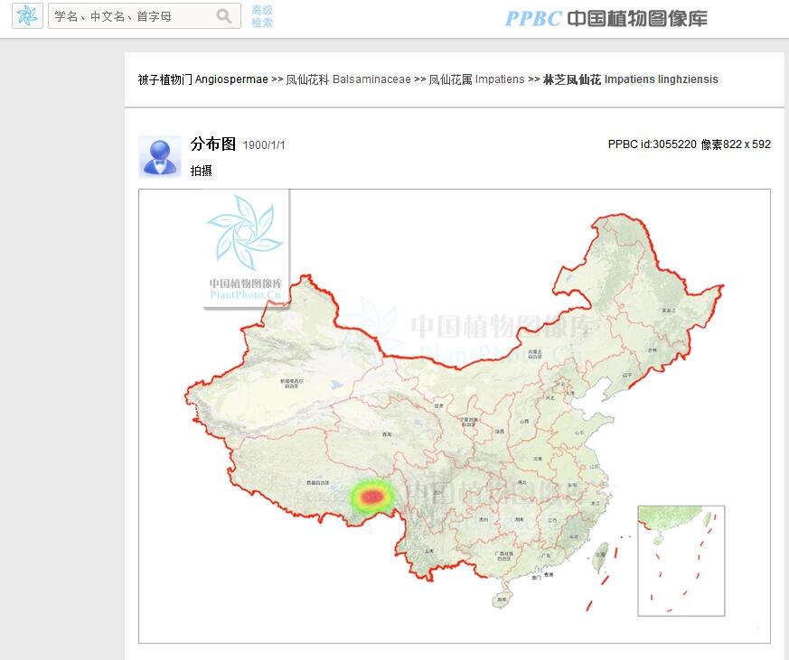  p>林芝凤仙花( a href="#" data-lemmaid="8074290">学名 /a>: i>