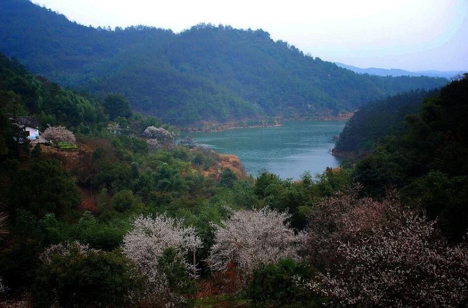  p data-id="go0706cvax">丰梅岭旅游风景区:"丰梅岭"位于湖南省长沙